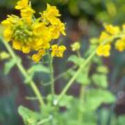 ヒメ日記 2026/03/03 14:24 投稿 みさき 池袋おかあさん