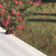 ヒメ日記 2026/03/13 12:54 投稿 みさき 池袋おかあさん