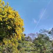 ヒメ日記 2026/03/17 13:24 投稿 みさき 池袋おかあさん