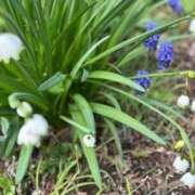 みさき 出勤致しました✨ 池袋おかあさん