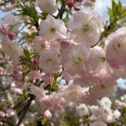 ヒメ日記 2026/04/13 11:04 投稿 みさき 池袋おかあさん