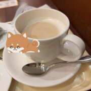 ヒメ日記 2026/02/26 08:42 投稿 ちひろ モアグループ川越人妻花壇