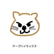 ヒメ日記 2025/03/17 02:11 投稿 よう コレクション