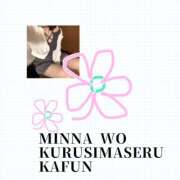 ヒメ日記 2025/03/17 02:53 投稿 よう コレクション