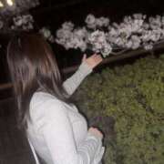 ヒメ日記 2025/04/18 12:20 投稿 よう コレクション