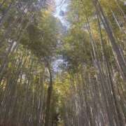 よう 自然を求めるようになってきた コレクション