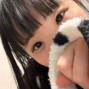 ヒメ日記 2026/03/06 02:50 投稿 よう コレクション