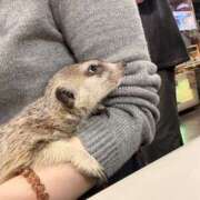 ヒメ日記 2026/04/03 23:41 投稿 よう コレクション