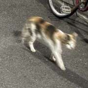 ヒメ日記 2026/05/07 21:56 投稿 よう コレクション