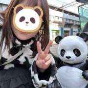 ヒメ日記 2025/03/24 13:12 投稿 よう ストロベリーハウス