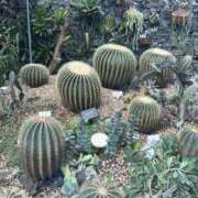 ヒメ日記 2025/05/05 00:30 投稿 よう ストロベリーハウス