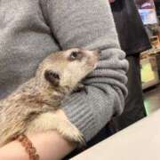 ヒメ日記 2026/04/04 00:01 投稿 よう ストロベリーハウス