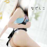 ヒメ日記 2024/12/20 02:07 投稿 なでしこ スイカ