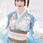 ヒメ日記 2024/12/30 02:39 投稿 なでしこ スイカ