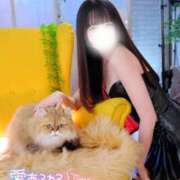 ヒメ日記 2025/01/13 12:02 投稿 なでしこ スイカ