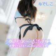 ヒメ日記 2025/02/11 17:20 投稿 なでしこ スイカ