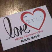 ヒメ日記 2025/02/14 12:16 投稿 なでしこ スイカ