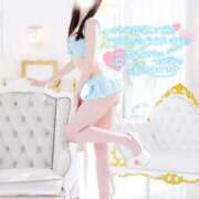 ヒメ日記 2025/02/16 15:45 投稿 なでしこ スイカ