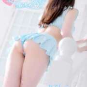 ヒメ日記 2025/02/21 19:43 投稿 なでしこ スイカ