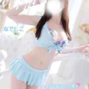 ヒメ日記 2025/03/15 02:00 投稿 なでしこ スイカ