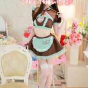 ヒメ日記 2025/03/23 15:45 投稿 なでしこ スイカ