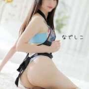 ヒメ日記 2025/03/24 01:42 投稿 なでしこ スイカ