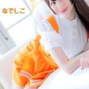 ヒメ日記 2025/04/06 12:01 投稿 なでしこ スイカ