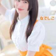 ヒメ日記 2025/04/13 12:00 投稿 なでしこ スイカ