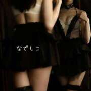 ヒメ日記 2025/04/17 12:02 投稿 なでしこ スイカ