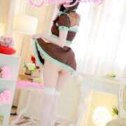 ヒメ日記 2025/04/17 16:01 投稿 なでしこ スイカ