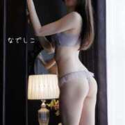 ヒメ日記 2025/04/25 01:18 投稿 なでしこ スイカ