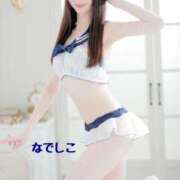 ヒメ日記 2025/05/11 12:15 投稿 なでしこ スイカ