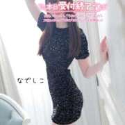 ヒメ日記 2025/06/05 17:49 投稿 なでしこ スイカ