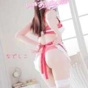 ヒメ日記 2025/06/09 02:10 投稿 なでしこ スイカ