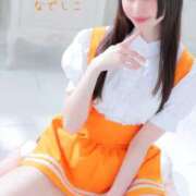 ヒメ日記 2025/06/11 12:00 投稿 なでしこ スイカ