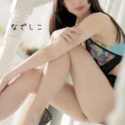 ヒメ日記 2025/06/15 15:45 投稿 なでしこ スイカ