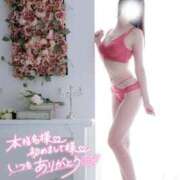 ヒメ日記 2025/06/21 01:07 投稿 なでしこ スイカ