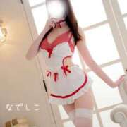 ヒメ日記 2025/06/30 02:00 投稿 なでしこ スイカ