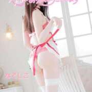 ヒメ日記 2025/07/10 15:45 投稿 なでしこ スイカ