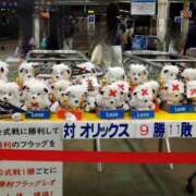 ヒメ日記 2025/08/31 12:04 投稿 なでしこ スイカ