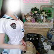 ヒメ日記 2025/10/12 21:53 投稿 なでしこ スイカ