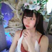 ヒメ日記 2025/10/20 17:01 投稿 なでしこ スイカ