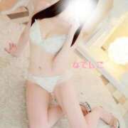 ヒメ日記 2025/10/30 15:45 投稿 なでしこ スイカ