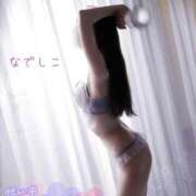 ヒメ日記 2025/11/01 02:08 投稿 なでしこ スイカ