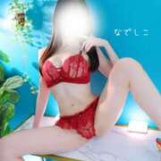 ヒメ日記 2025/11/02 17:11 投稿 なでしこ スイカ