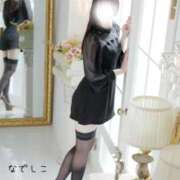 ヒメ日記 2025/11/03 15:45 投稿 なでしこ スイカ