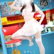 ヒメ日記 2025/11/05 12:02 投稿 なでしこ スイカ