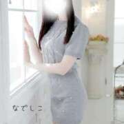 ヒメ日記 2025/11/17 02:00 投稿 なでしこ スイカ