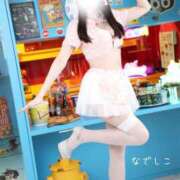 ヒメ日記 2025/11/23 12:01 投稿 なでしこ スイカ