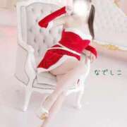 ヒメ日記 2025/12/05 14:45 投稿 なでしこ スイカ